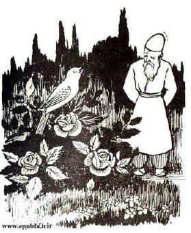 قصه آموزنده « حاضرجوابی بلبل»-قصههای کِلیلهودِمنه برای بچههای خوب-ارشیو قصه و داستان ایپابفا